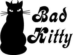 bad kitty.jpg